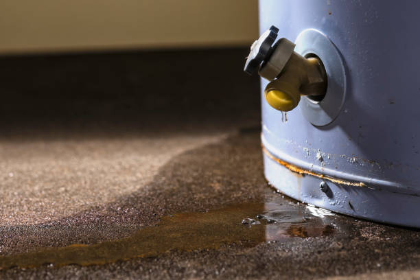 Best Ceiling water damage repair  in Azalea Park, FL