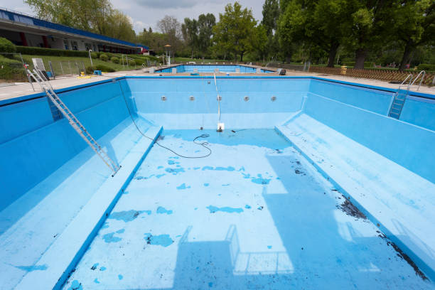 Best Basement water damage restoration  in Azalea Park, FL