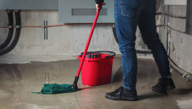 Best Water damage restoration near me  in Azalea Park, FL