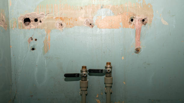 Best Water damage cleanup near me  in Azalea Park, FL