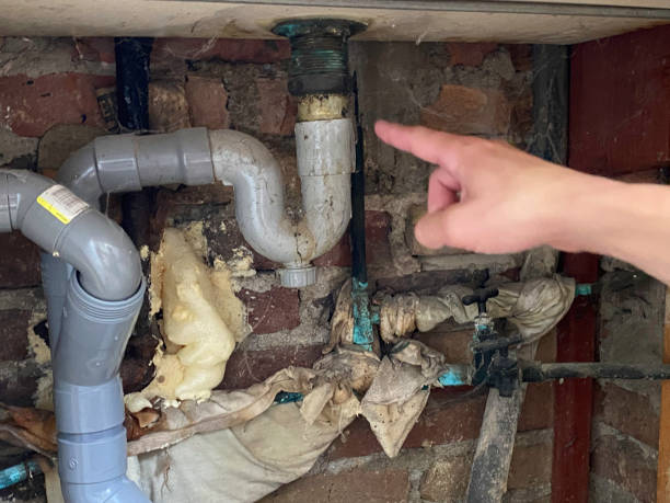 Best Water damage cleanup near me  in Azalea Park, FL