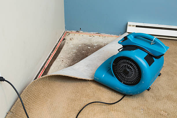 Best Residential water damage restoration  in Azalea Park, FL